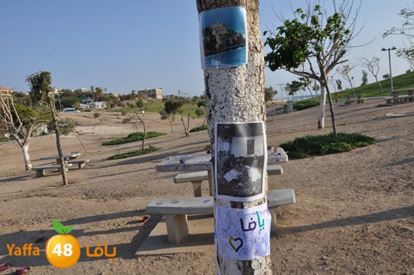 kidsrabeta515 (51).JPG